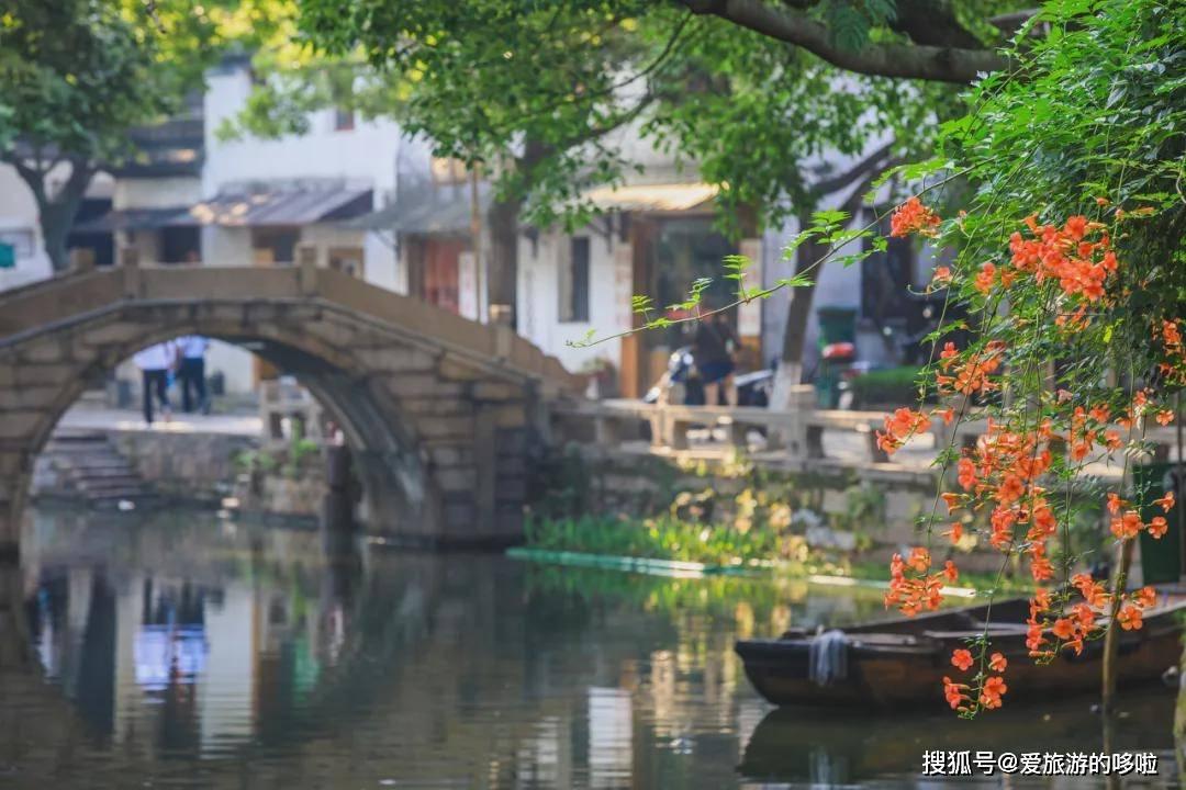 竞技宝one